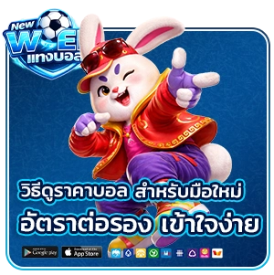 วิธี แทง บอล ใน เว็บ มือใหม่