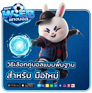มือใหม่แทงบอล